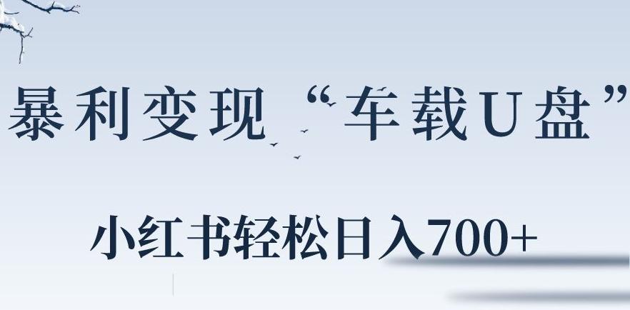 小红书“车载U盘”暴利引流，日入700+-鼎铸网