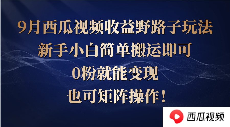 西瓜视频收益野路子玩法，新手小白简单搬运即可，0粉就能变现，也可矩…-鼎铸网