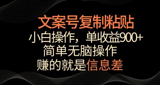 文案号掘金，简单复制粘贴，小白操作，单作品收益900+【揭秘】-鼎铸网
