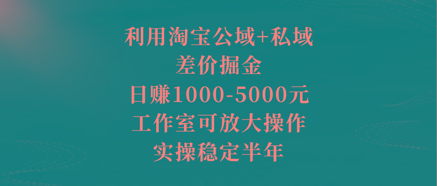利用淘宝公域+私域差价掘金，日赚1000-5000元，工作室可放大操作，实操…-鼎铸网