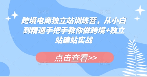 a48d3e2187e782d79a40f06955339020.jpeg 跨境电商独立站训练营,从小白到精通手把手教你做跨境+独立站建站实战