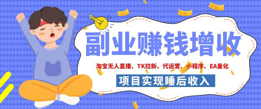 2026年多个真实落地副业项目,手把手带你搭建被动收入管道(淘宝无人直播、海外TK拉新、CSGO饰品交易、去水印小程序等)【揭秘】-鼎铸网