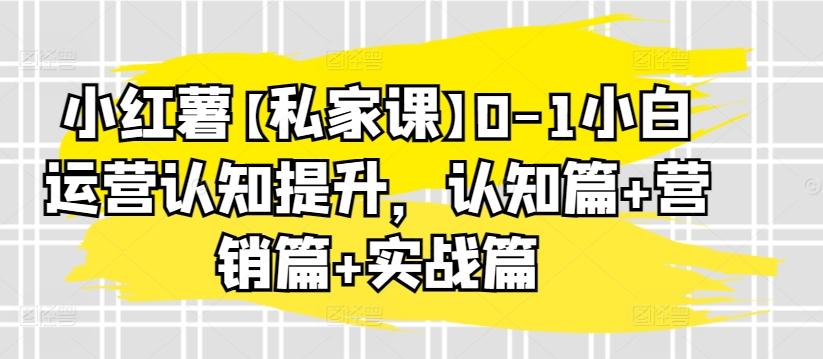 小红薯【私家课】0-1小白运营认知提升，认知篇+营销篇+实战篇-鼎铸网