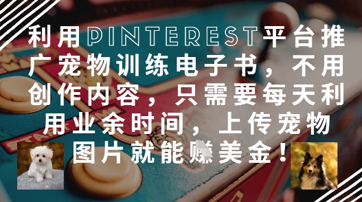 利用Pinterest平台推广宠物训练电子书,不用创作内容,只需要每天利用业余时间,上传宠物图片就能挣美金!-鼎铸网