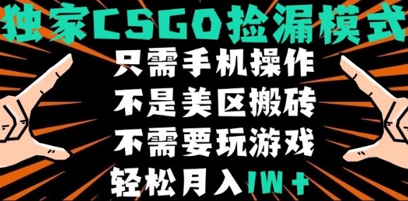 a967953dc15686c6f0435da19d76e3aa.jpeg CSGO自动捡漏项目,最新独家玩法,不是美区搬砖,不需要了解和玩游戏,新手小白轻松月入1W+【揭秘】