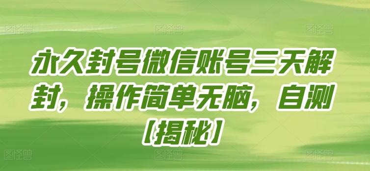 永久封号微信账号三天解封，操作简单无脑，自测【揭秘】-鼎铸网
