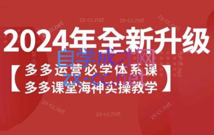 海神老师·拼多多运营必学体系课-鼎铸网