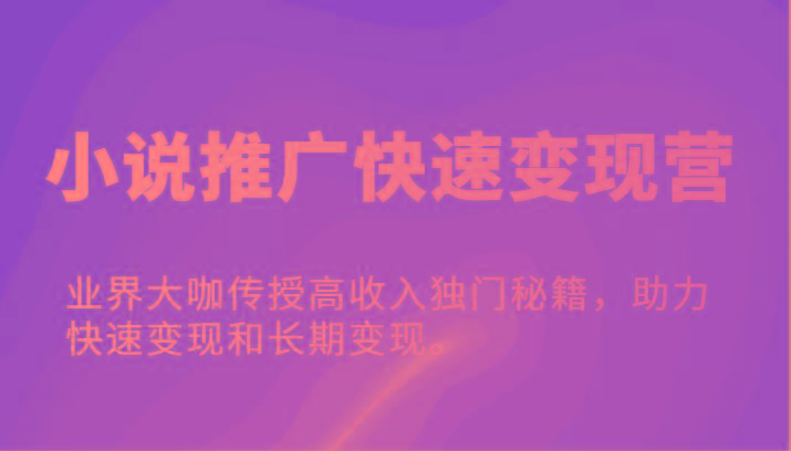 小说推广快速变现营-业界大咖传授高收入独门秘籍，助力快速变现和长期变现。-鼎铸网