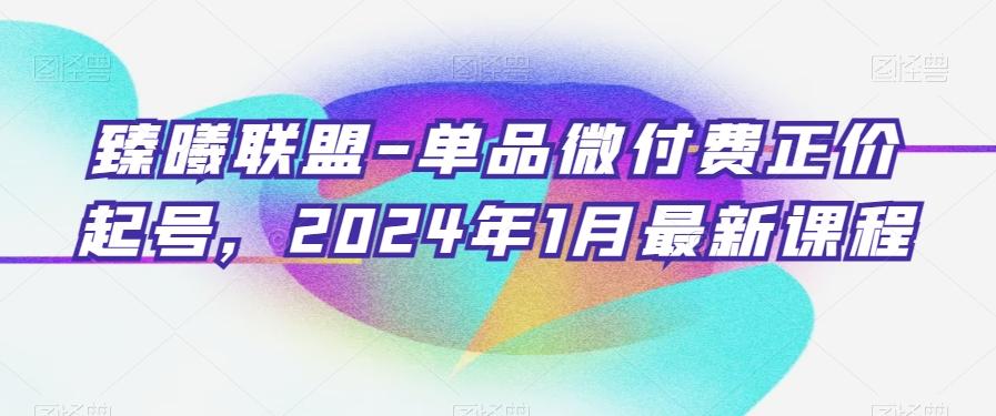 臻曦联盟-单品微付费正价起号，2024年1月最新课程-鼎铸网