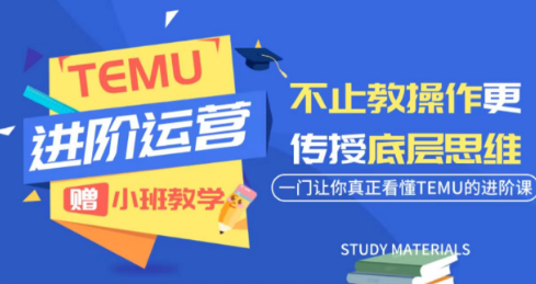 阿卡林·TEMU运营课程(基础+进阶)-鼎铸网