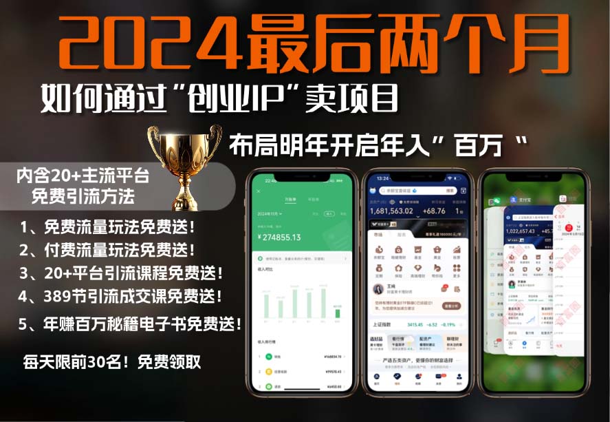 aecfd57c280969ed2cf779bd1f58de5b.jpeg 2024最后两个月如何通过”创业IP“卖项目年入”百万“,创业IP+最强引流…