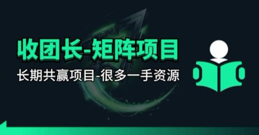 【团长合作】视频矩阵项目_招发手矩阵+剪辑师,共赢项目【揭秘】-鼎铸网