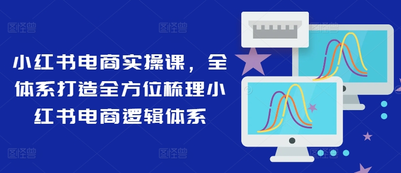 小红书电商实操课，全体系打造全方位梳理小红书电商逻辑体系-鼎铸网