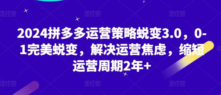 b245bef06ff777a65b69d6cba6452122.jpeg 2024拼多多运营策略蜕变3.0,0-1完美蜕变,解决运营焦虑,缩短运营周期2年+