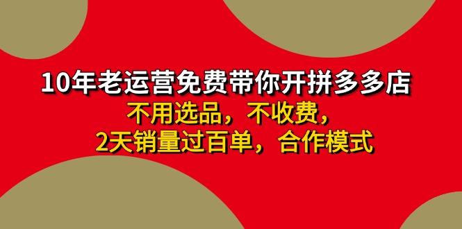 拼多多-合作开店日入4000+两天销量过百单，无学费、老运营教操作、小白…-鼎铸网