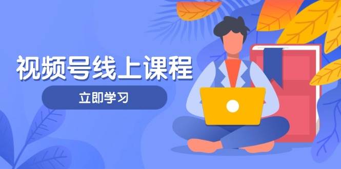 视频号实战课程,轻IP打造与运营技巧,掌握核心方法与策略-鼎铸网