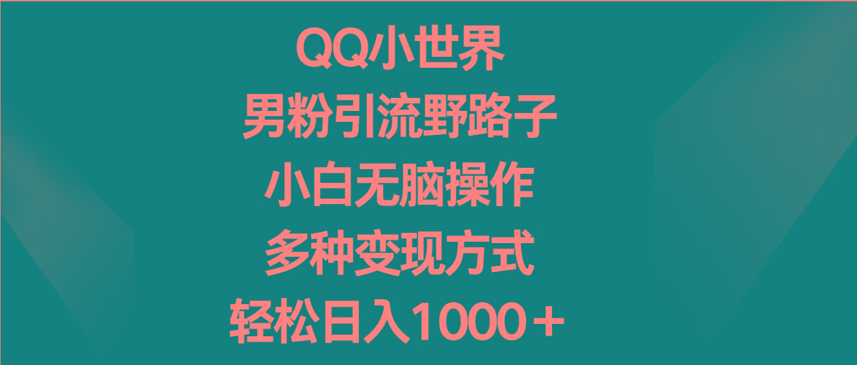 QQ小世界男粉引流野路子,小白无脑操作,多种变现方式轻松日入1000+-鼎铸网