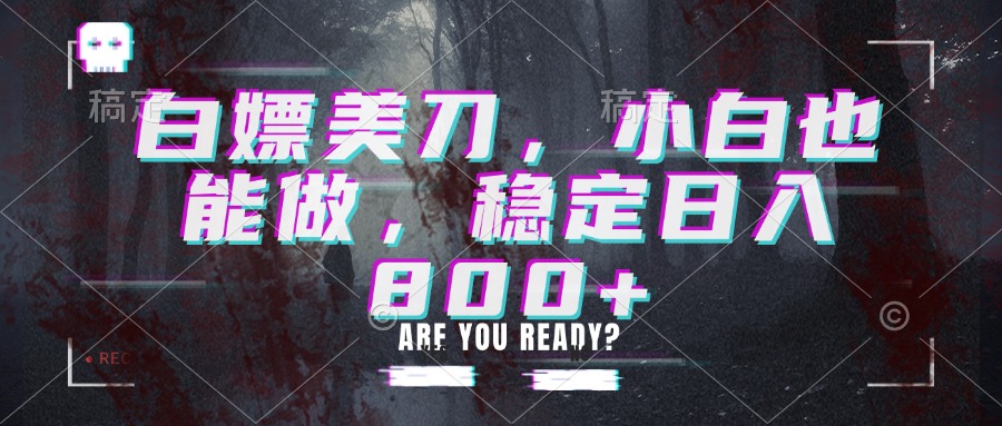 白嫖美刀，小白也能做，稳定日入800+-鼎铸网