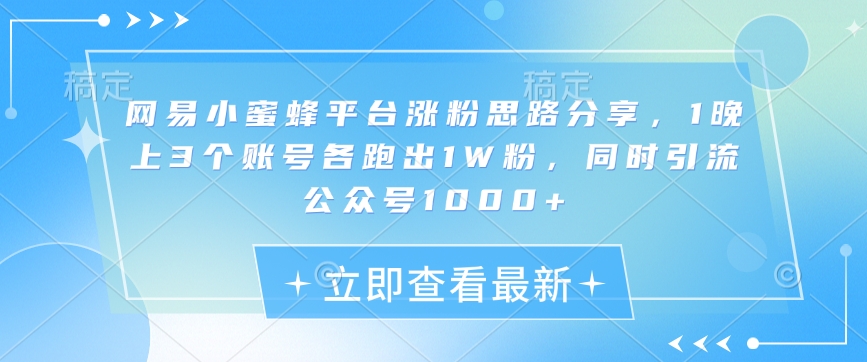 网易小蜜蜂平台涨粉思路分享,1晚上3个账号各跑出1W粉,同时引流公众号1000+-鼎铸网