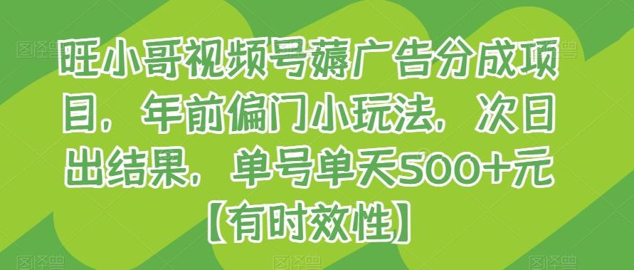 旺小哥视频号薅广告分成项目，年前偏门小玩法，次日出结果，单号单天500+元【有时效性】-鼎铸网