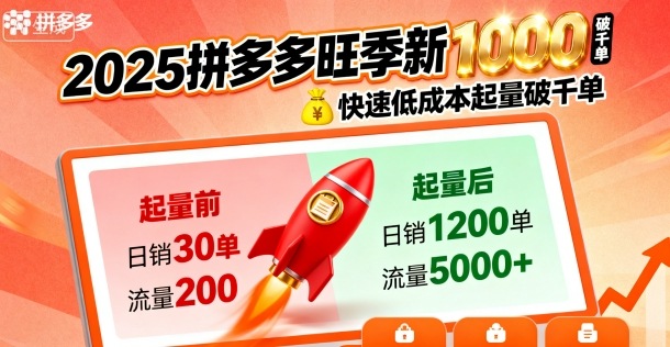 2025拼多多旺季新老店铺——快速低成本起量破千单-鼎铸网