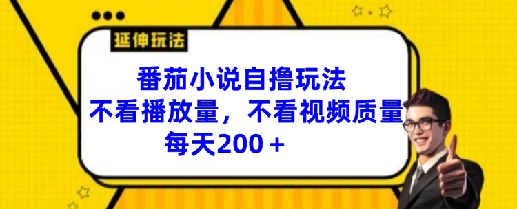 番茄小说自撸玩法，不看播放量，不看视频质量，每天200+【揭秘】-鼎铸网