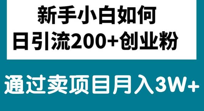 新手小白日引流200+创业粉,通过卖项目月入3W+-鼎铸网