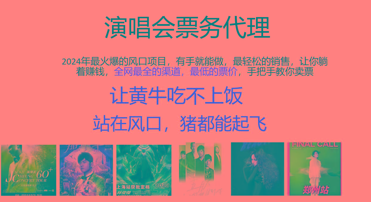2024年最火爆风口项目，演唱会票务代理，日入2000+，一部手机就能搞定！-鼎铸网