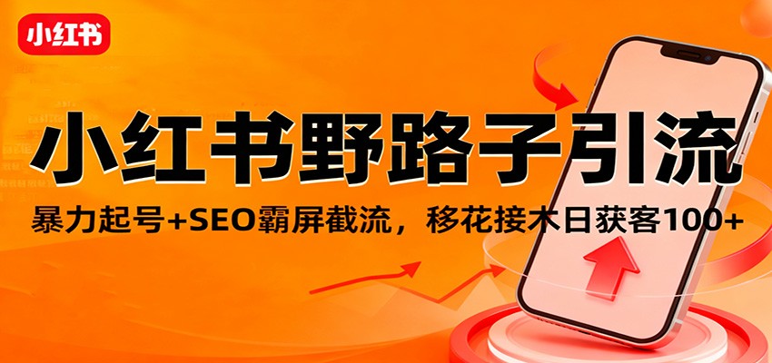 小红书野路子引流，暴力起号+SEO霸屏截流，移花接木日获客100+-鼎铸网