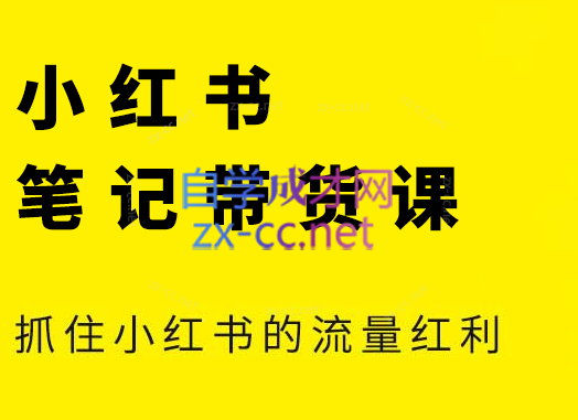 张宾·小红书笔记带货课(更新6月)-鼎铸网