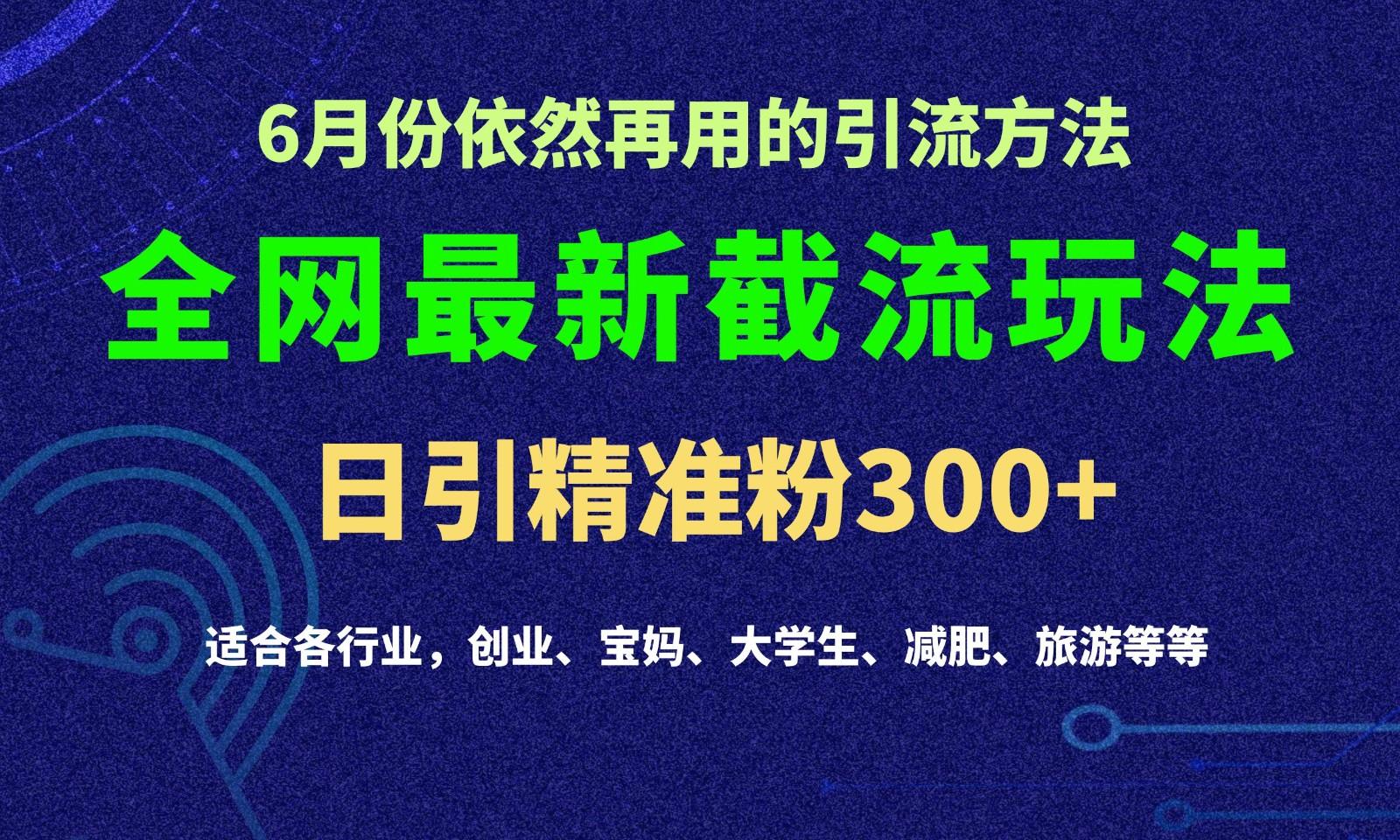 2024全网最新截留玩法,每日引流突破300+-鼎铸网