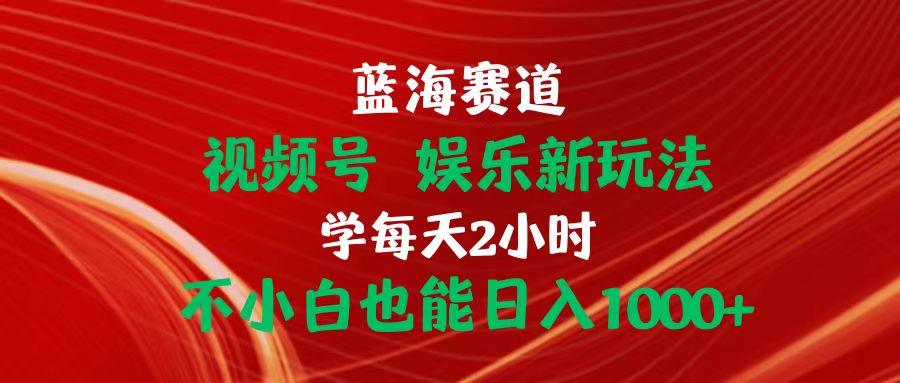 蓝海赛道视频号 娱乐新玩法每天2小时小白也能日入1000+-鼎铸网