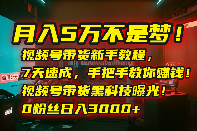 bb4f50aa28648d02b19626b5e4895b00.jpeg 月入5万不是梦!视频号带货新手教程,7天速成,手把手教你赚钱!视频号…