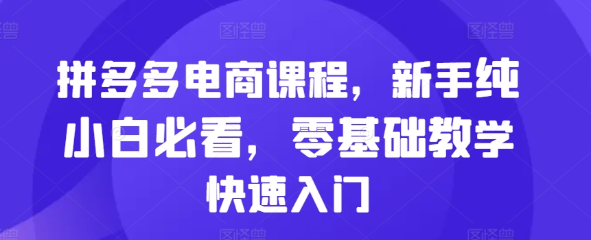 拼多多电商课程，新手纯小白必看，零基础教学快速入门-鼎铸网