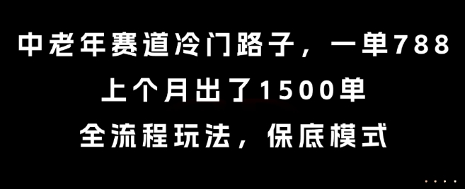 中老年赛道冷门路子，一单788，上个月出了1500单，全流程玩法，保底模式【揭秘】-鼎铸网