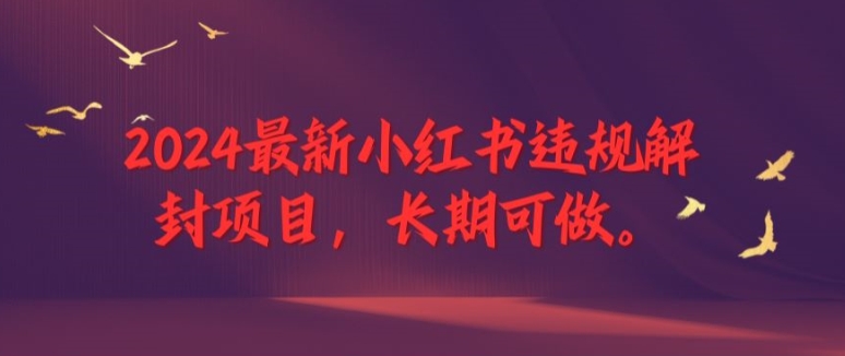 2024最新小红书违规解封项目，长期可做，一个可以做到退休的项目【揭秘】-鼎铸网