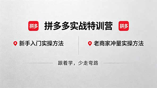 拼多多实战特训营(更新5月15-鼎铸网