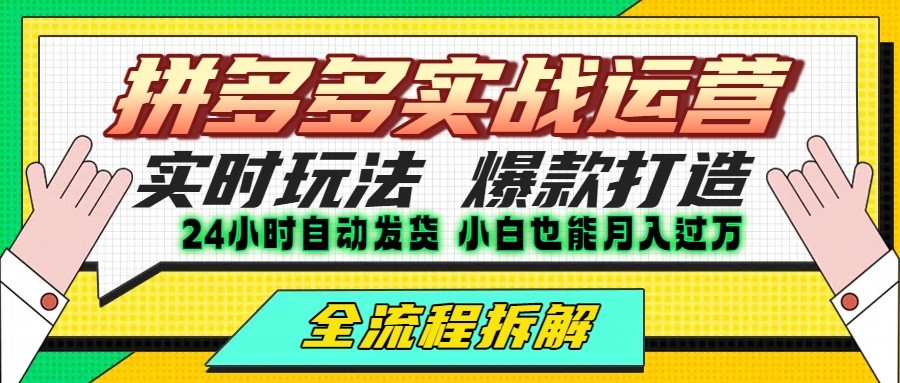 拼多多最新实战运营高投产：长久稳定项目，单店利润一天三位数-鼎铸网