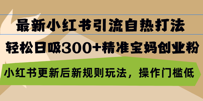 最新小红书引流自热打法，轻松日吸300+精准宝妈创业粉，小红书更新后新…-鼎铸网