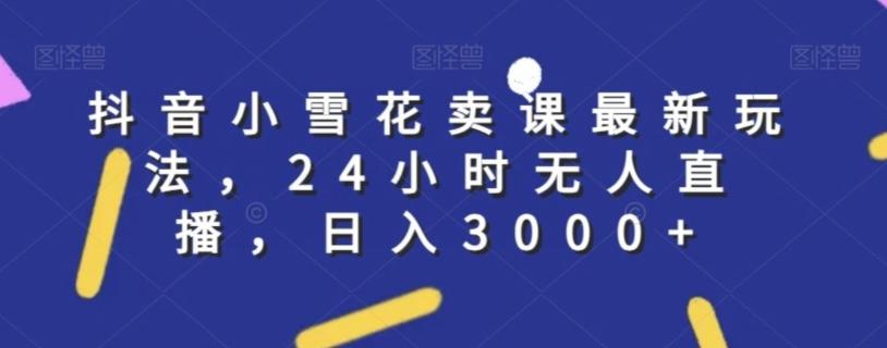 抖音小雪花卖课最新玩法，24小时无人直播，日入3000+【揭秘】-鼎铸网