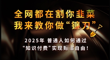 知识付费如何做到月入过W+,2025我来教你做“镰刀”【揭秘】-鼎铸网