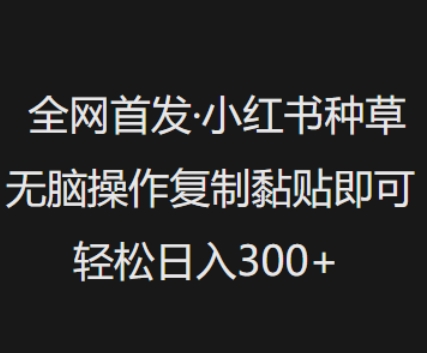 全网首发，小红书种草无脑操作，复制黏贴即可，轻松日入3张-鼎铸网