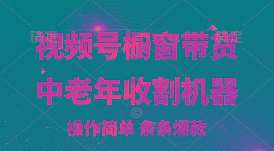 [你的孩子成功取得高位]视频号最火爆赛道，橱窗带货，流量分成计划，条…-鼎铸网