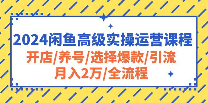 c02e82384c844757627fcd517a174282.jpeg 2024闲鱼高级实操运营课程:开店/养号/选择爆款/引流/月入2万/全流程