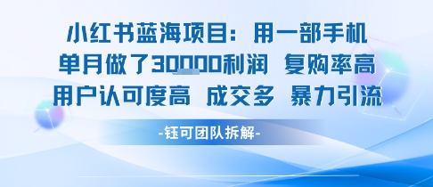 c285b5e0dfc4d9c237999d628dc75b92.jpeg 小红书蓝海项目,一部手机单月做了3W利润,小白也能月入过1W用户认可度高成交多