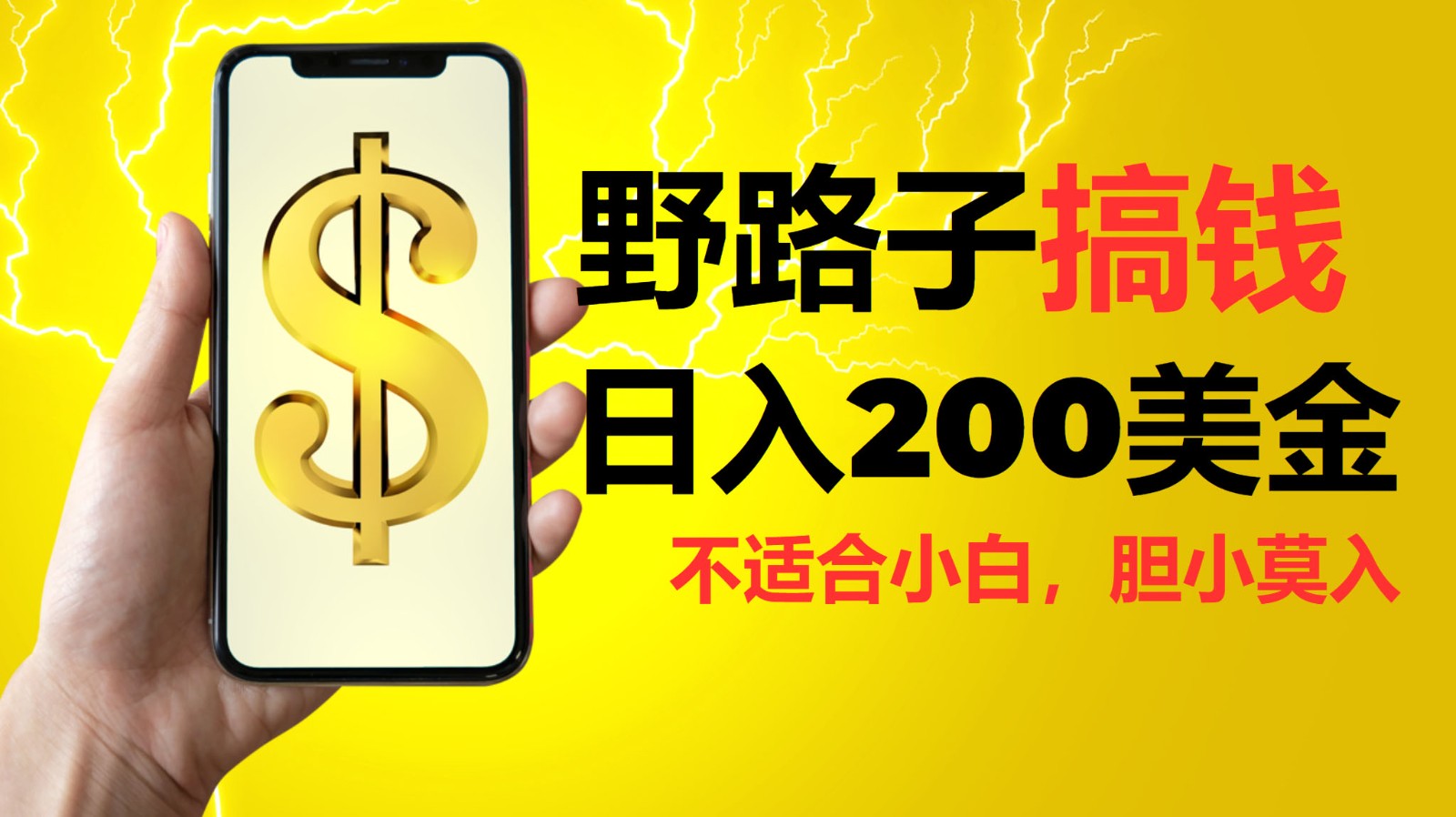 挂机野路子搞钱,日入200美金,路子很野,小白莫入-鼎铸网