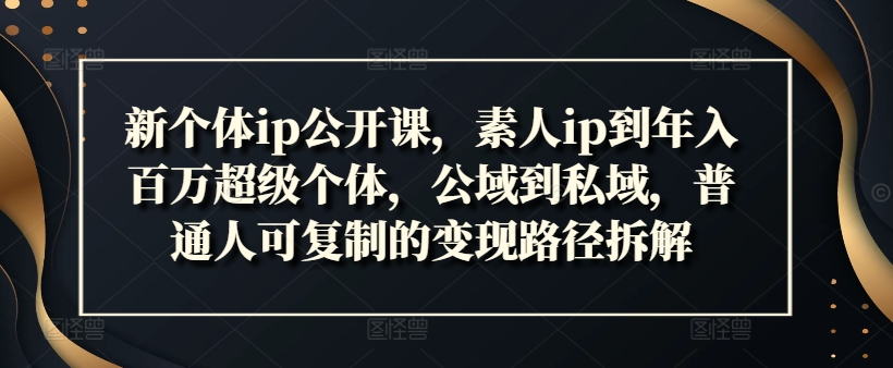 新个体ip公开课，素人ip到年入百万超级个体，公域到私域，普通人可复制的变现路径拆解-鼎铸网