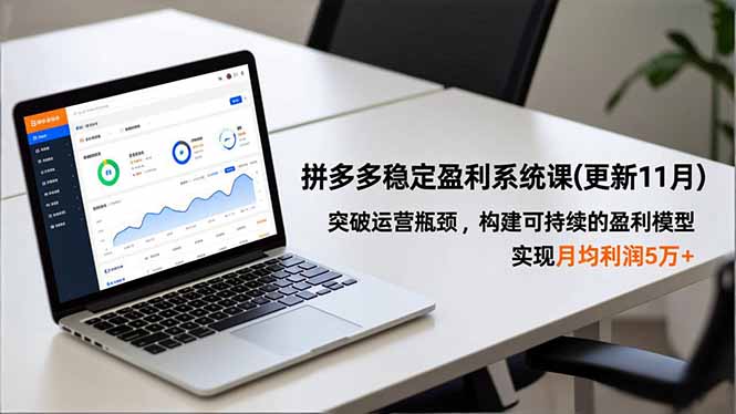 c520a60652852b6c435a86447607429c.jpeg 拼多多稳定盈利系统课(更新11月