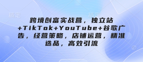 跨境创富实战营，独立站+TikTok+YouTube+谷歌广告，经营策略，店铺运营，精准选品，高效引流-鼎铸网
