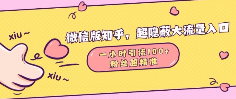 c572628312610626760a7aba139e9498.jpeg 微信版知乎,超隐蔽流量入口1小时引流100人,粉丝质量超高【揭秘】